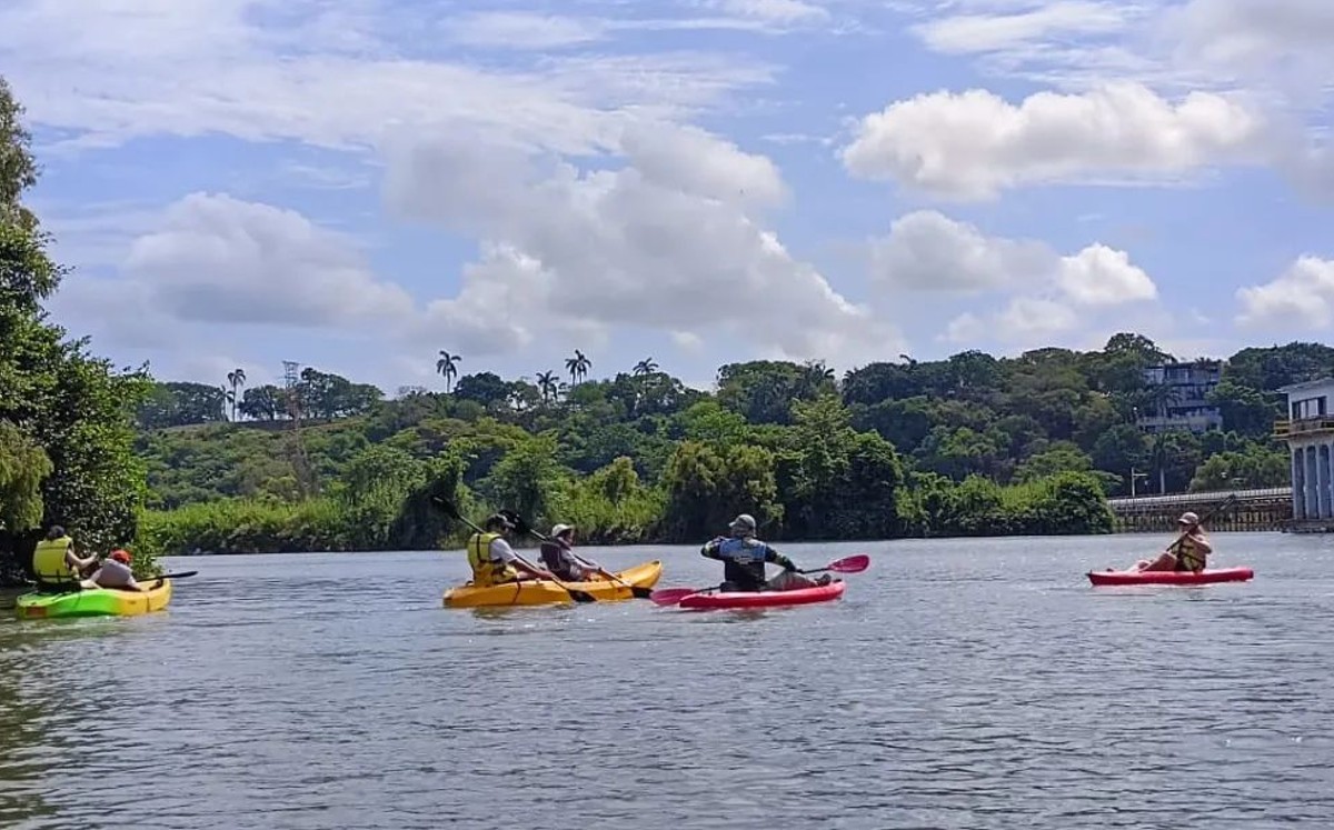 Paseos en kayak en laguna del Chairel en Tampico. (South Coast Tampico)