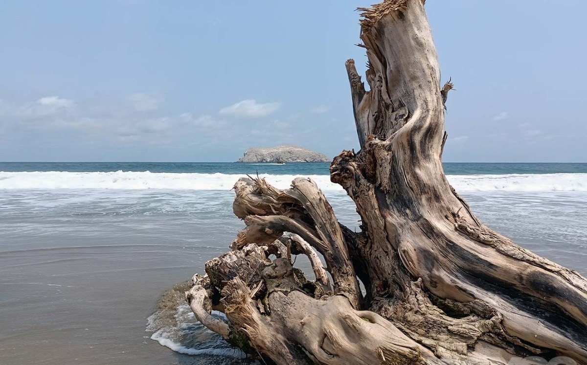 Playa Peña Blanca, un sitio de ensueño a conservar- Grupo Milenio