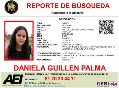 Daniela Guillen Palma, ficha de búsqueda.