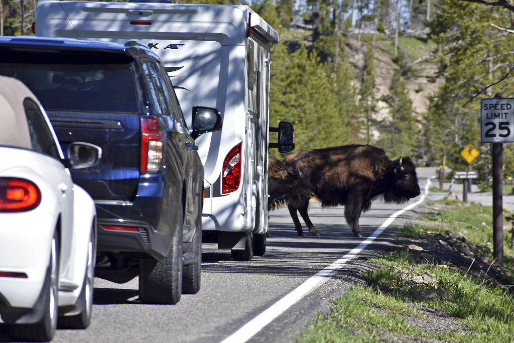 El parque Yellowstone es uno de los más visitados de Estados Unidos. (AP)