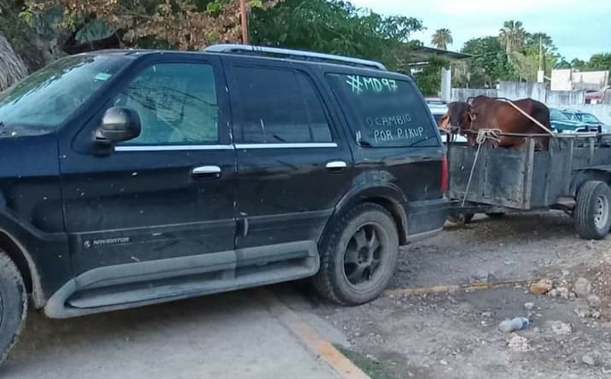 Por probable abigeato detienen a dos sujetos en norte de Veracruz