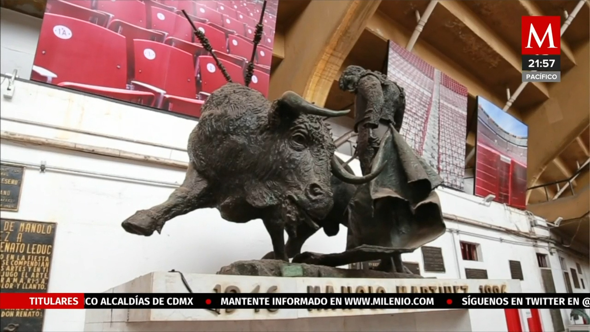 Suspensión de la Tauromaquia afecta derechos de aficionados