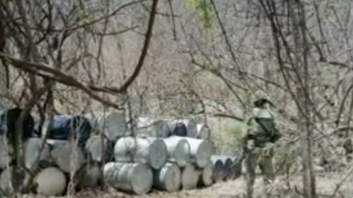 Inhabilitan tres laboratorios clandestinos en Sinaloa