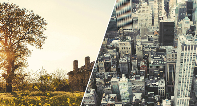 columna de Lorenzo Rocha