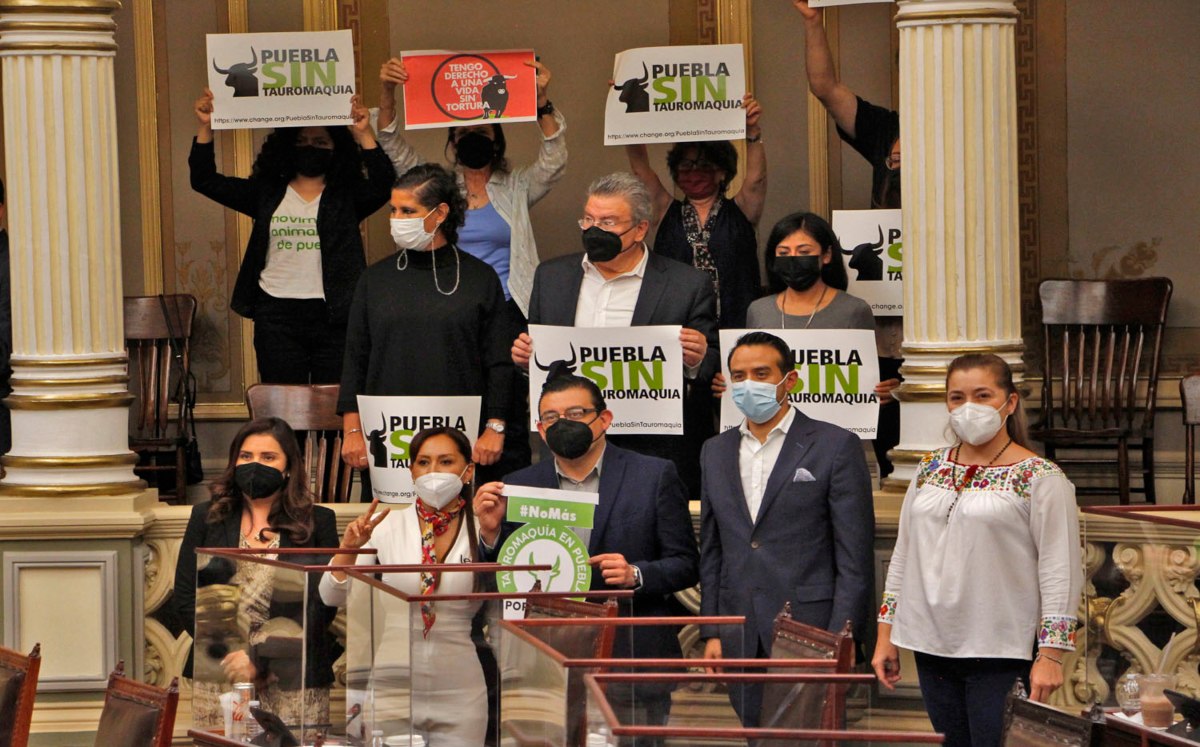 Diputada propone prohibir las corridas de toros en Puebla | Melanie Torres