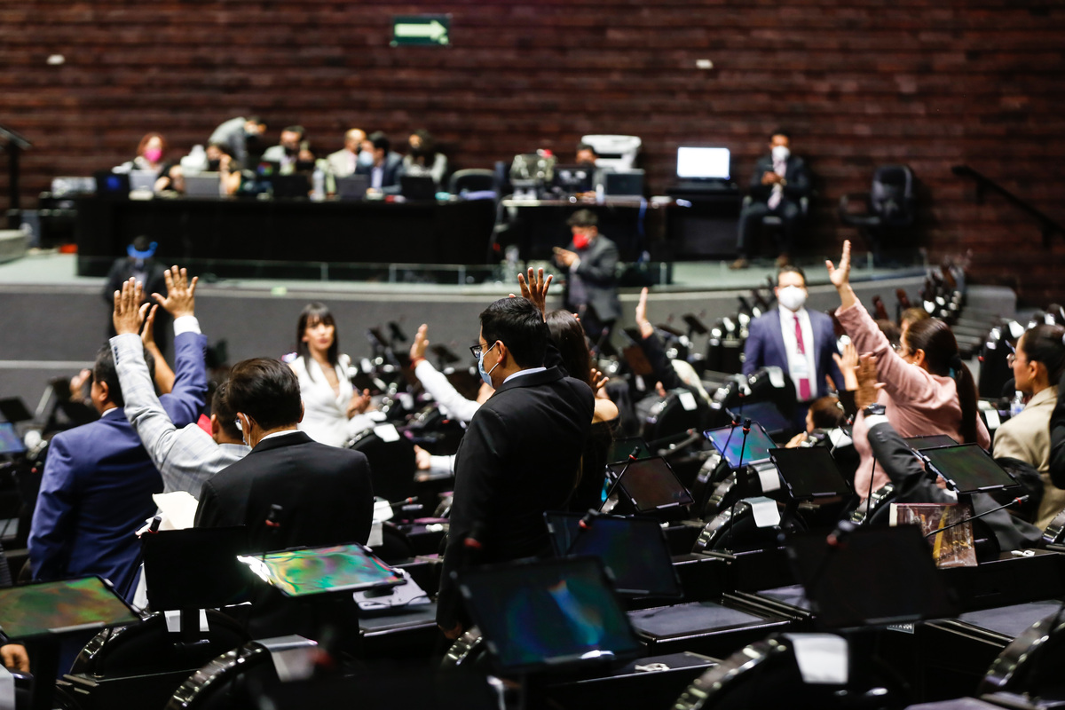Diputados van por legalización de eutanasia; prevén apoyo de "amplia mayoría"