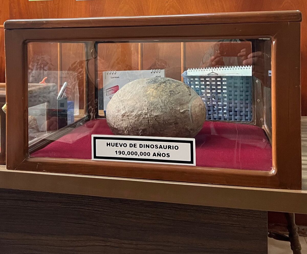 Un huevo de dinosaurio en la colonia San Rafael | Especial