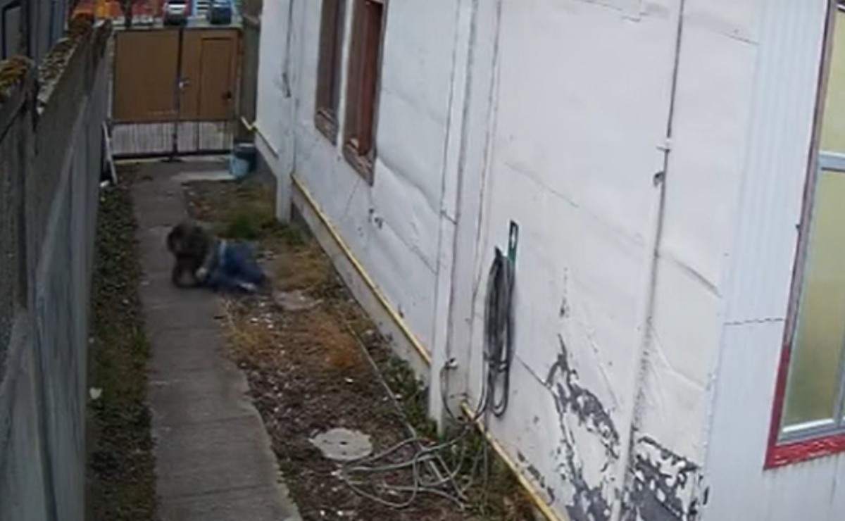 El hombre se lanzó para no pagar a la mujer. | Captura video