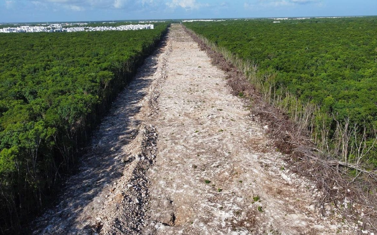 El Tramo 5 del Tren Maya había sido suspendido tras varios amparos interpuestos. | Cuartoscuro