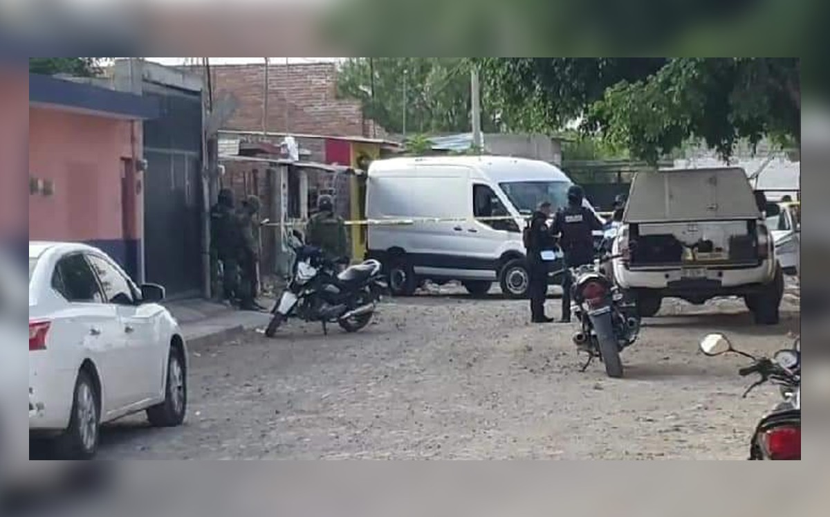 Menor de edad y su perro mueren a balazos en Apaseo el Grande / Especial
