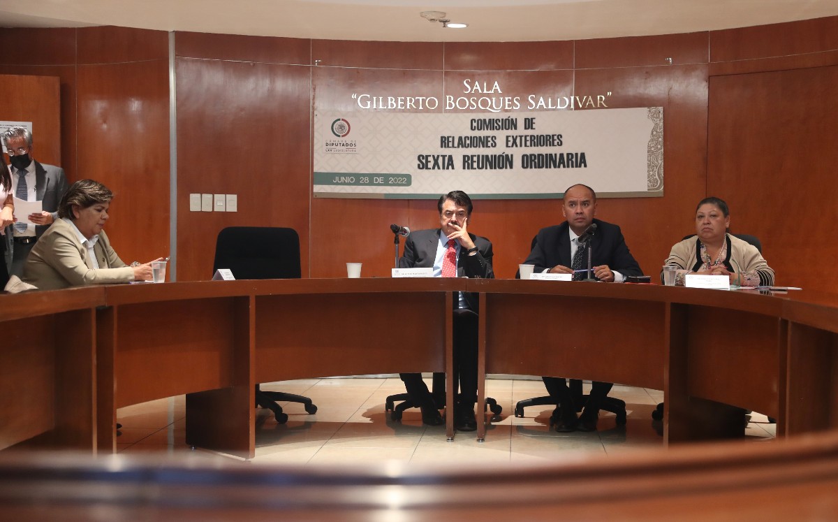 El presidente del grupo de trabajo, Alfredo Femat, lamentó los hechos registrados.  | Especial