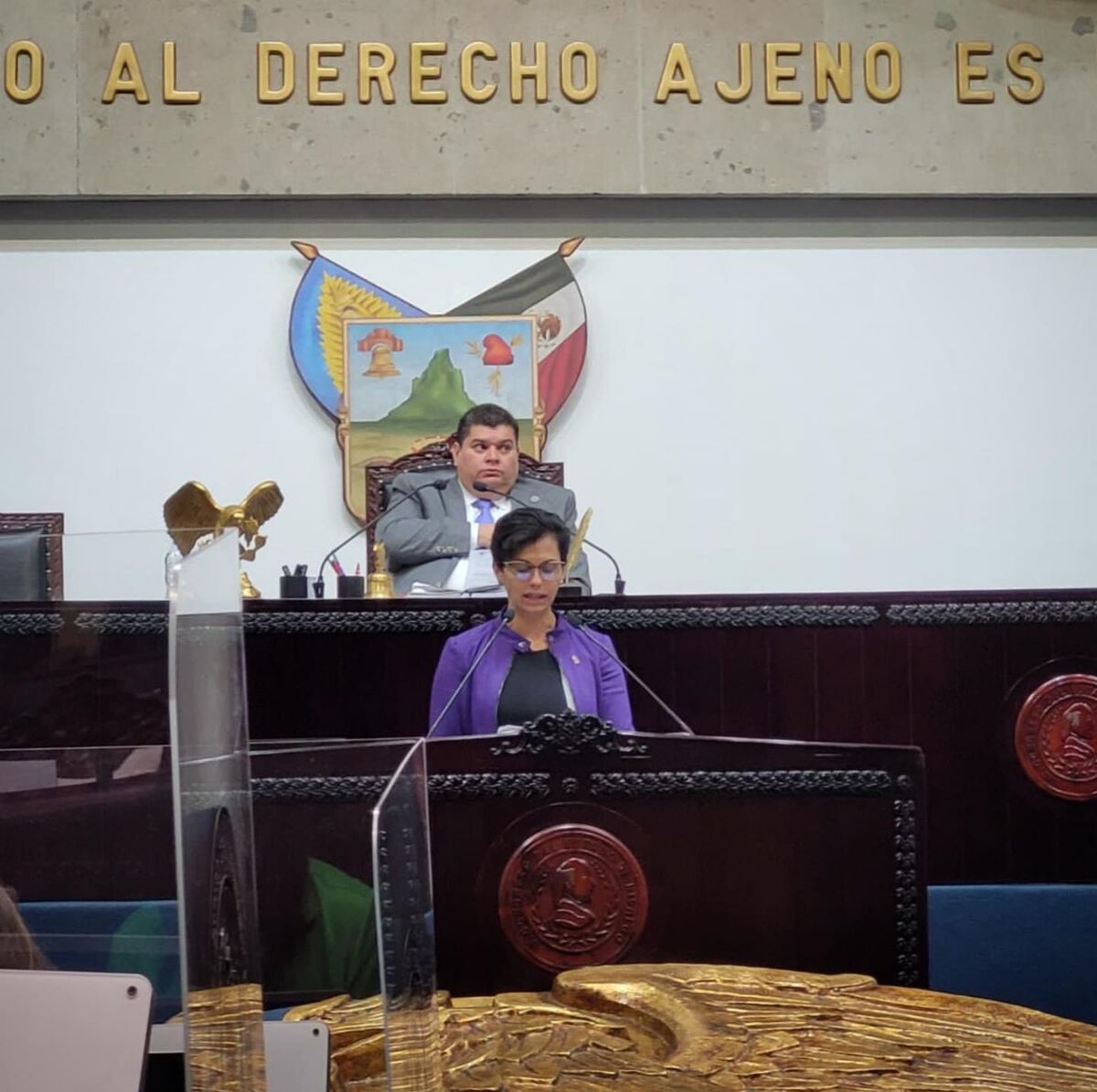 Rocío Jacqueline Sosa Jiménez diputada del PRI Hidalgo (Cortesía)