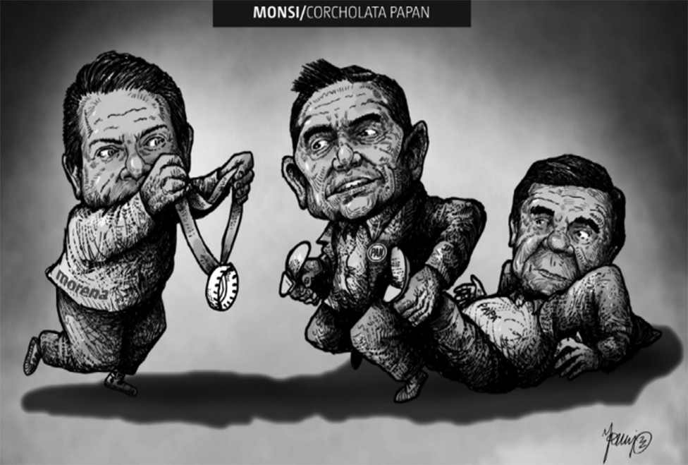 CORCHOLATA PAPAN