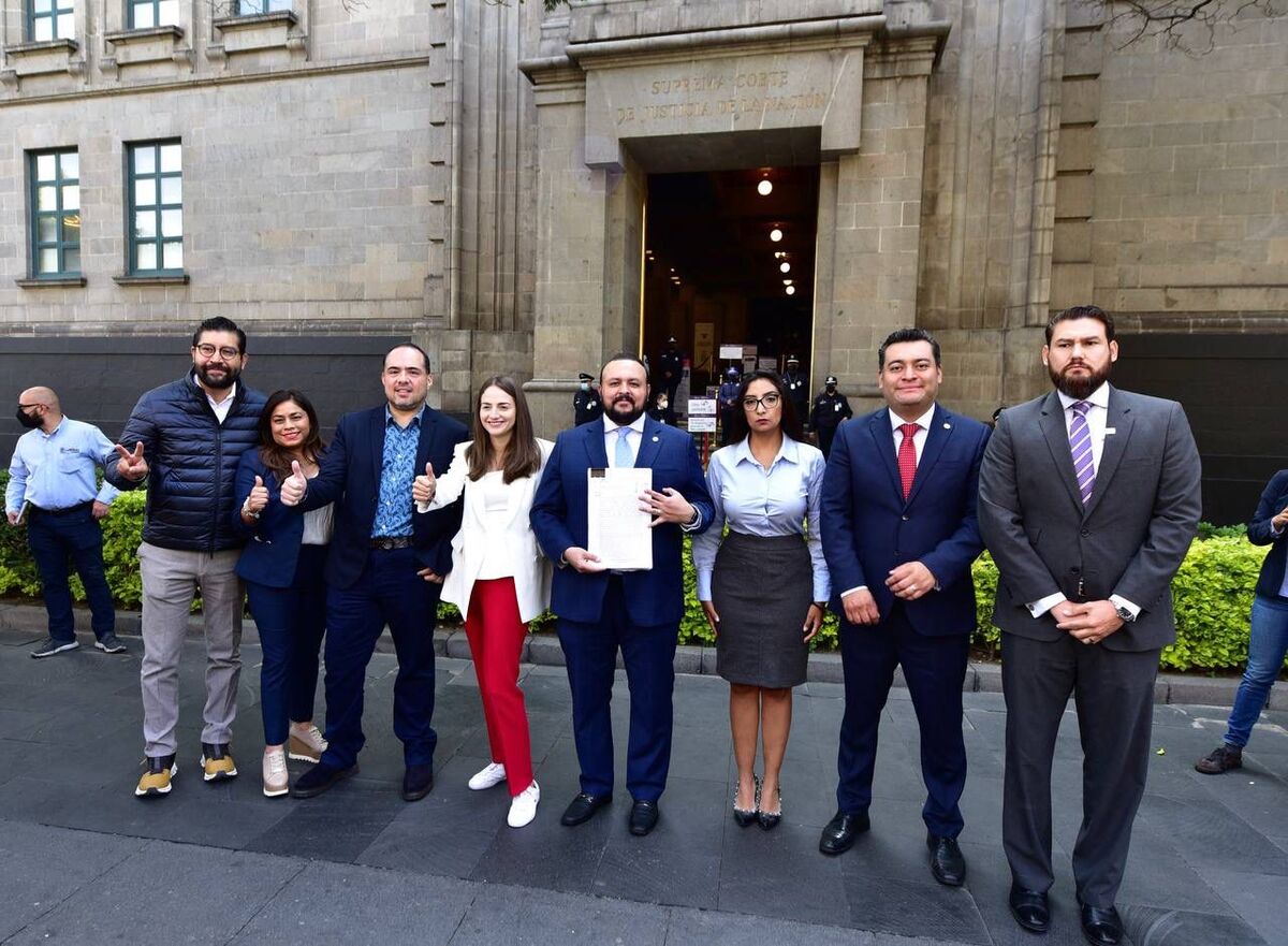 Los diputados presentaron la acción de inconstitucionalidad | Especial
