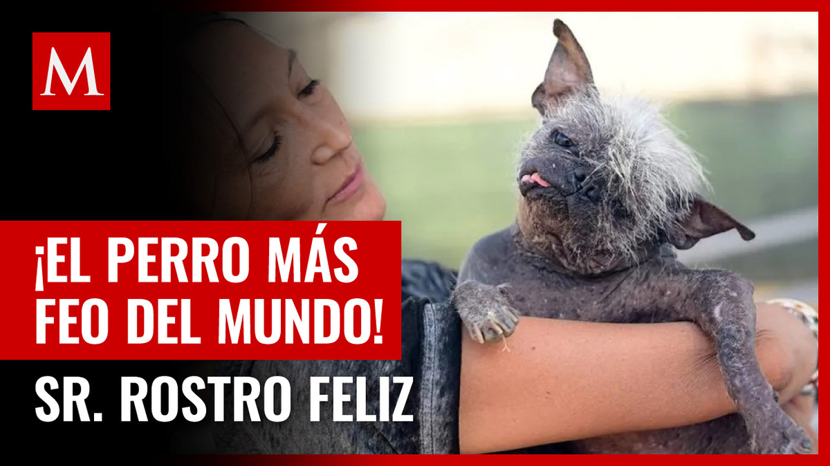 Sr. Rostro Feliz,así luce el perro más feo del mundo de 2022