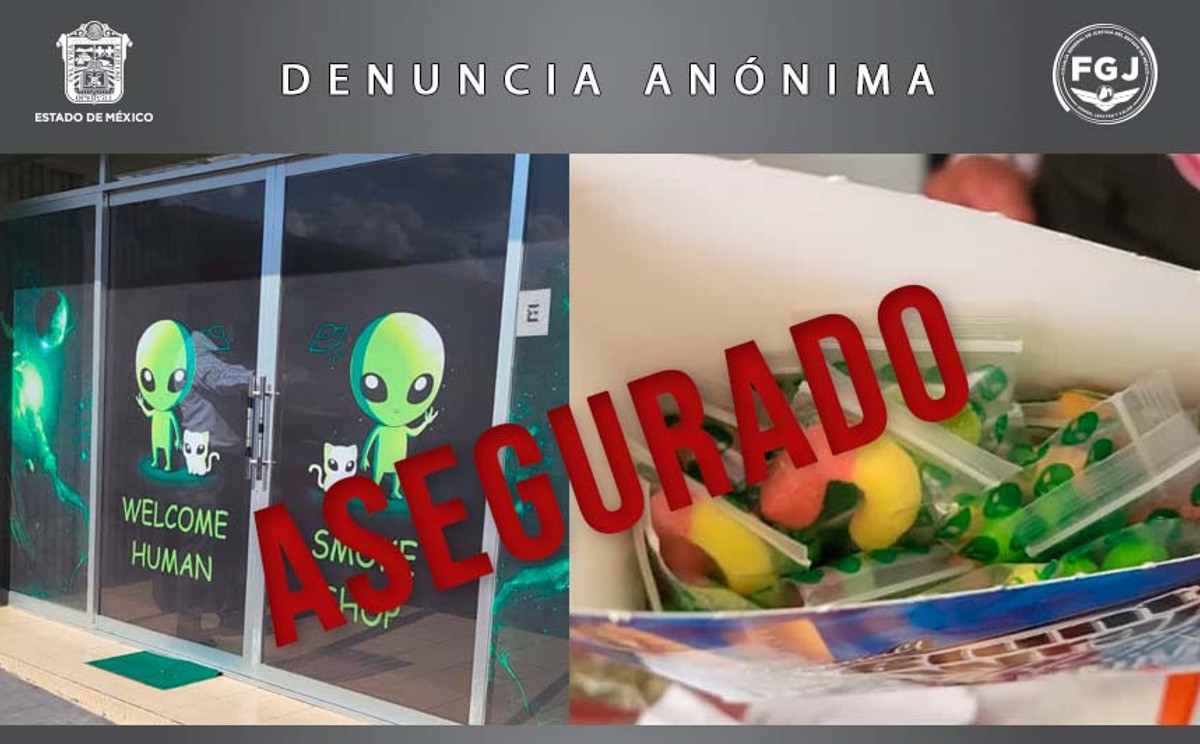 El predio quedó asegurado y clausurado con sellos.