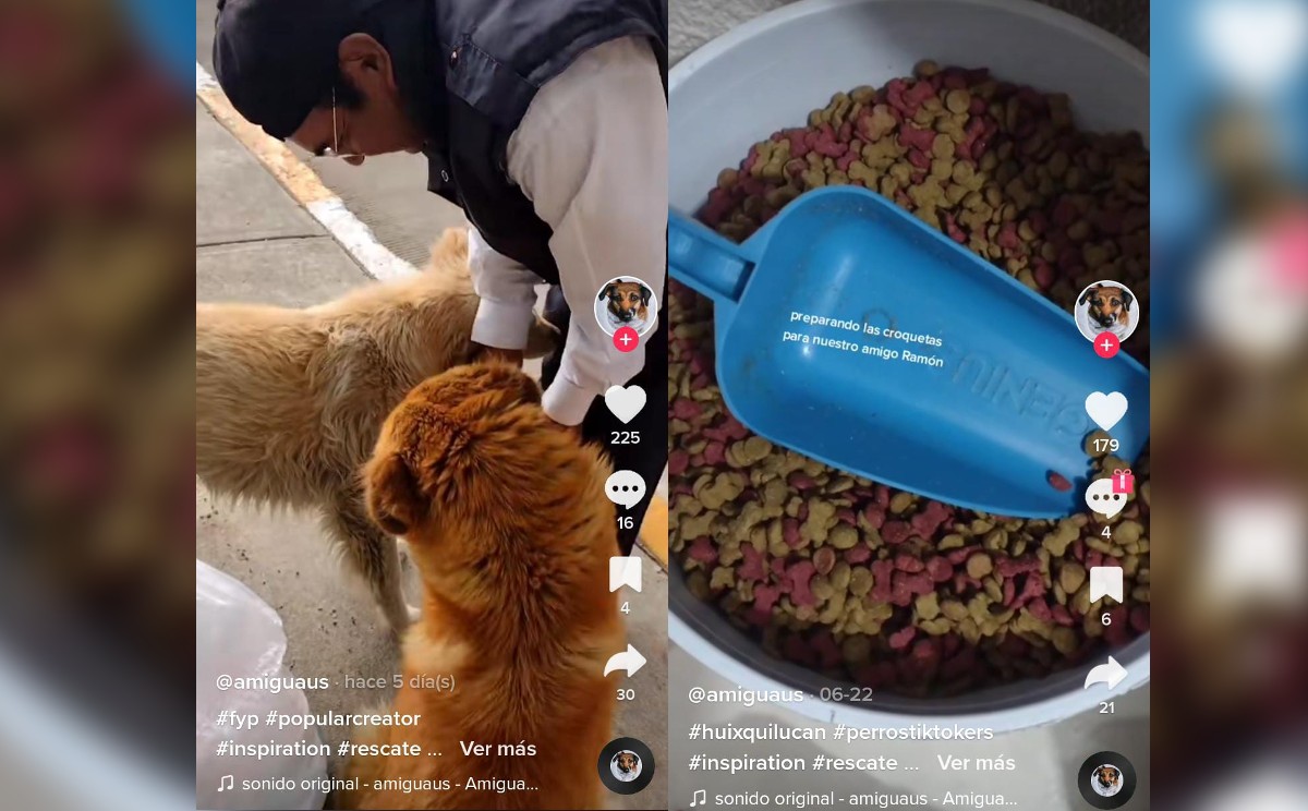 "La cuenta en Tik Tok acumula más de 12 mil seguidores" | Especial.