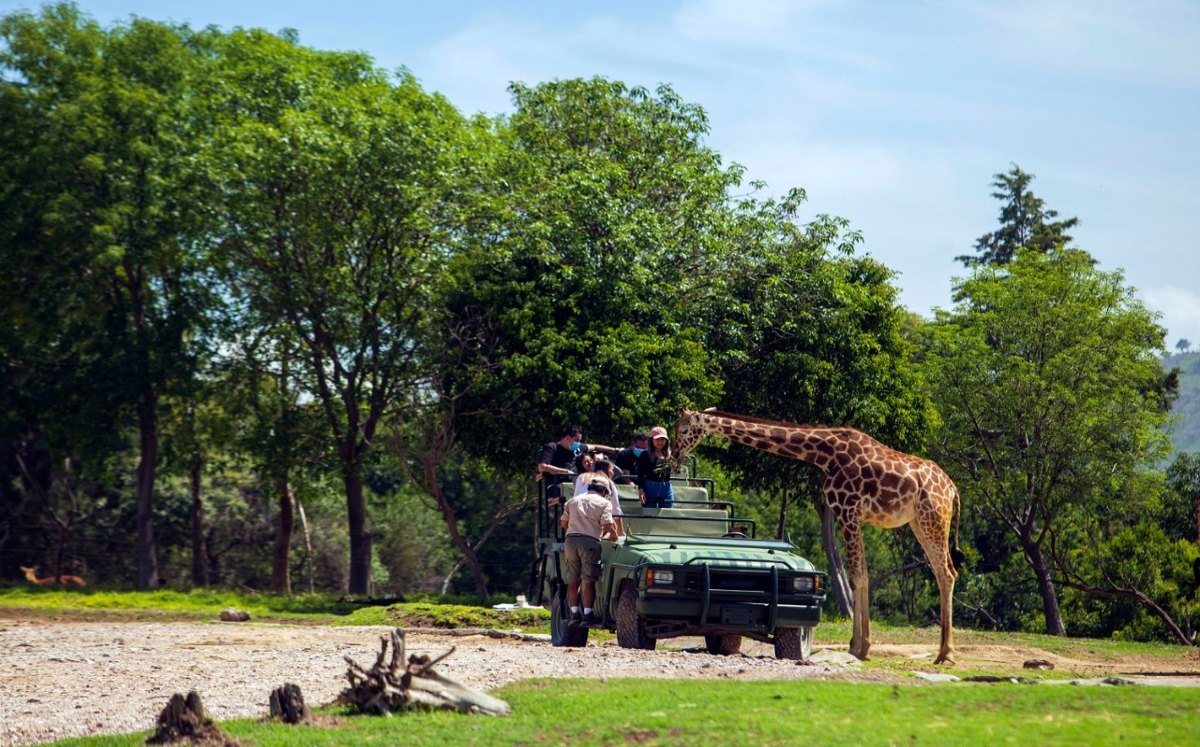Africam Safari. (Andrés Lobato)