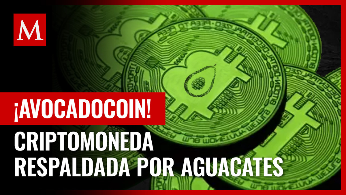 AvocadoCoin, la primera criptomoneda respaldada por aguacates- Grupo Milenio