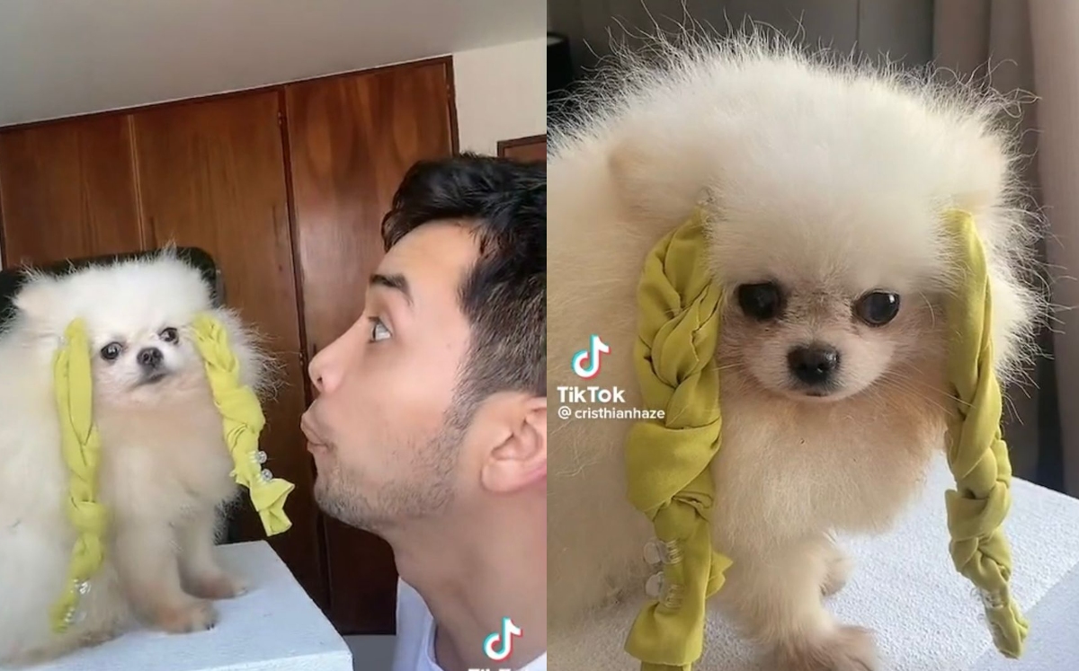 Cristhian y Luciano tienen más de un millón de seguidores / TikTok: @cristhianhaze