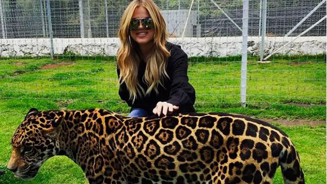 De Eruviel Ávila hasta Khloe Kardashian: los donadores del santuario Black Jaguar, White Tiger