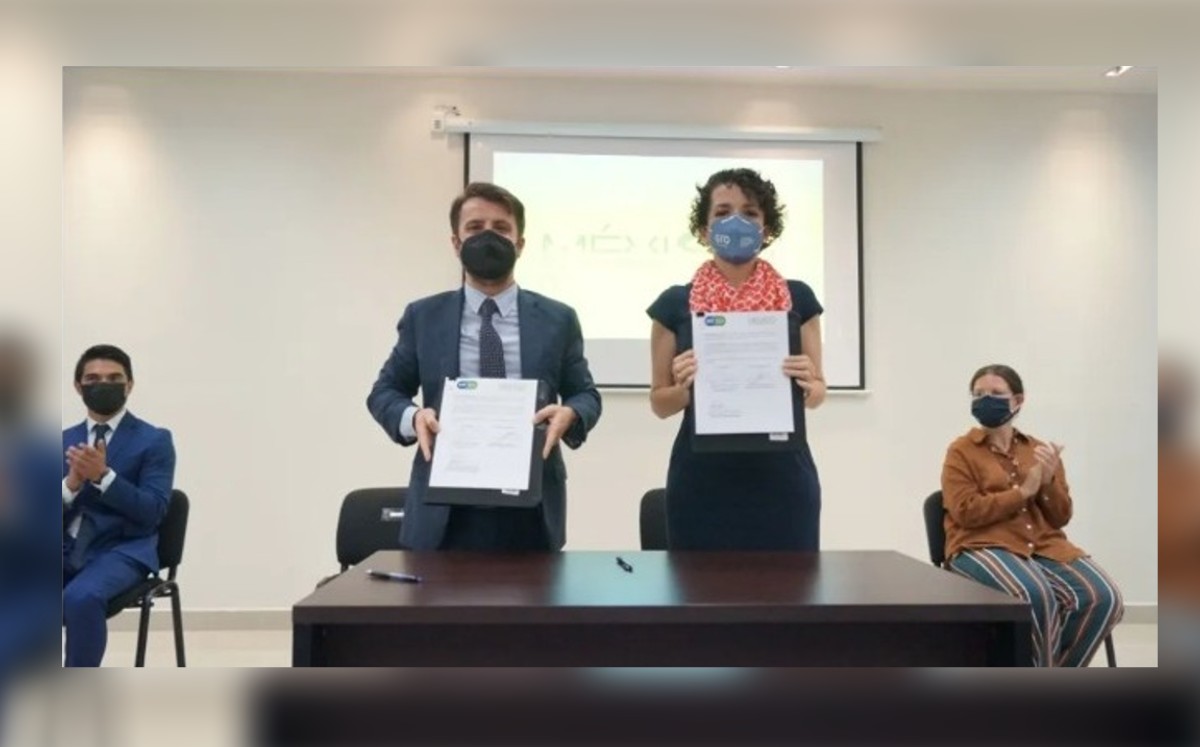 En Guanajuato se desarrolla primer mercado de carbono voluntario / Especial