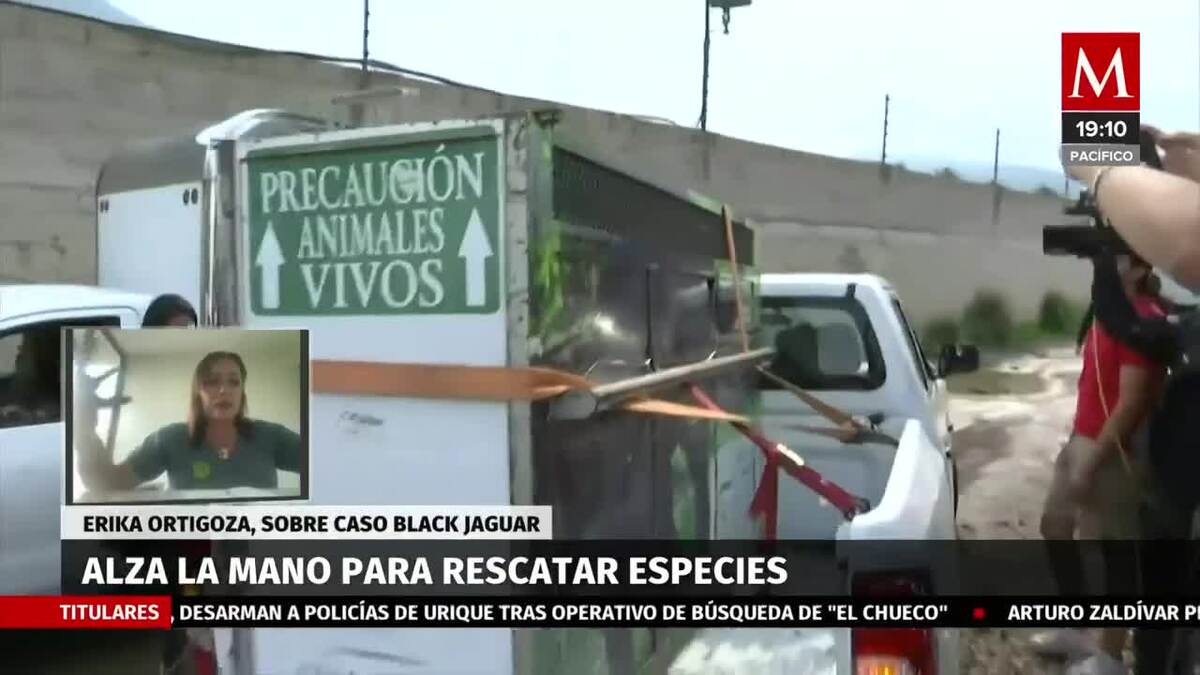 Irregularidades de 'Black Jaguar' vienen desde 2016