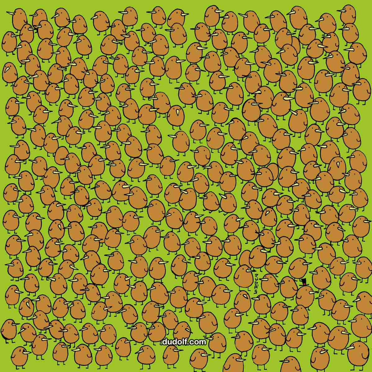 Reto visual: halla los kiwis