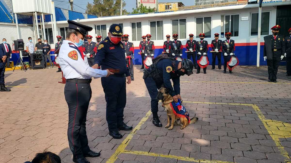 Entrega de medallas a binomios jubilados y los que se incorporan | Ramón Ramírez