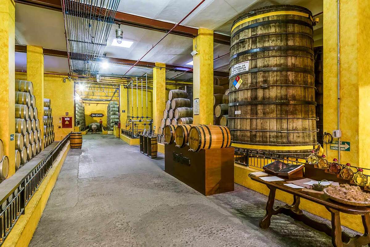 Nearshoring. (Foto: Especial)