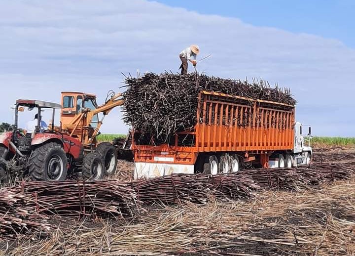 https://cdn.milenio.com/uploads/media/2022/07/09/corte-de-cana-duro-trabajo.jpg