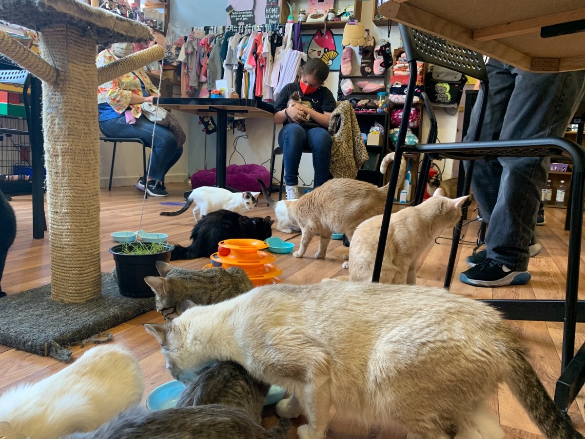 columna de Humberto Ríos