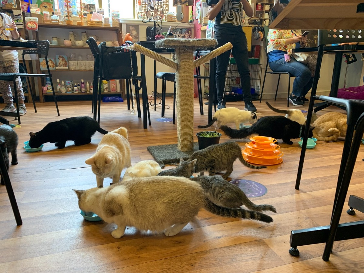 columna de Humberto Ríos