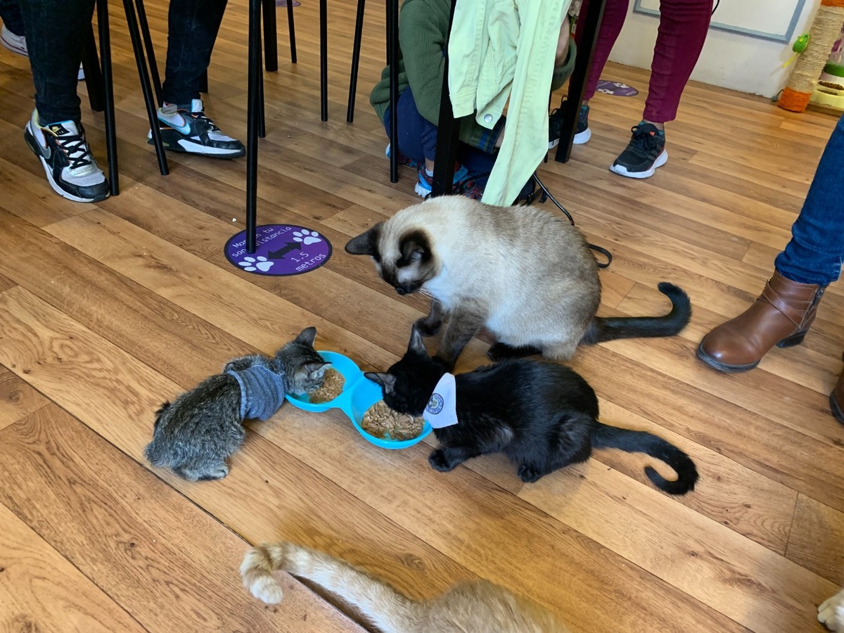 columna de Humberto Ríos