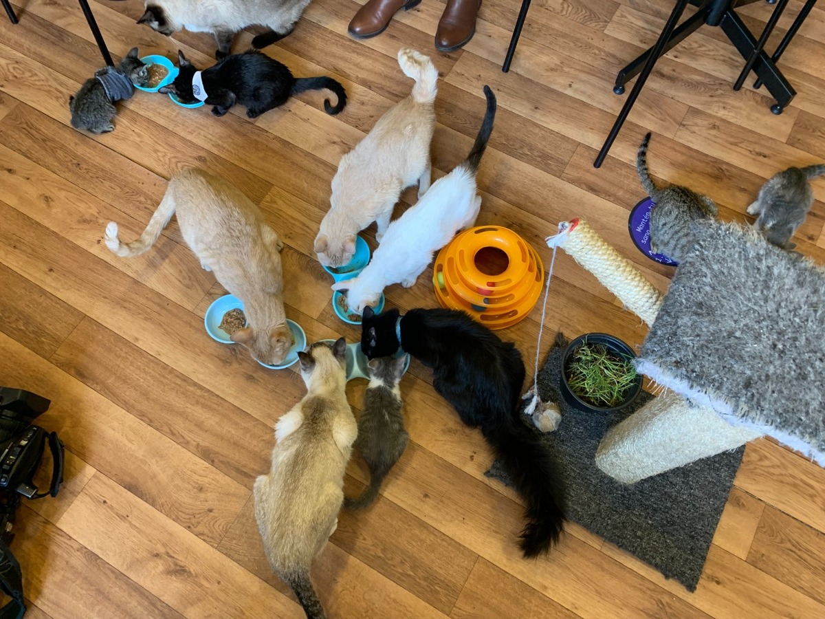 columna de Humberto Ríos