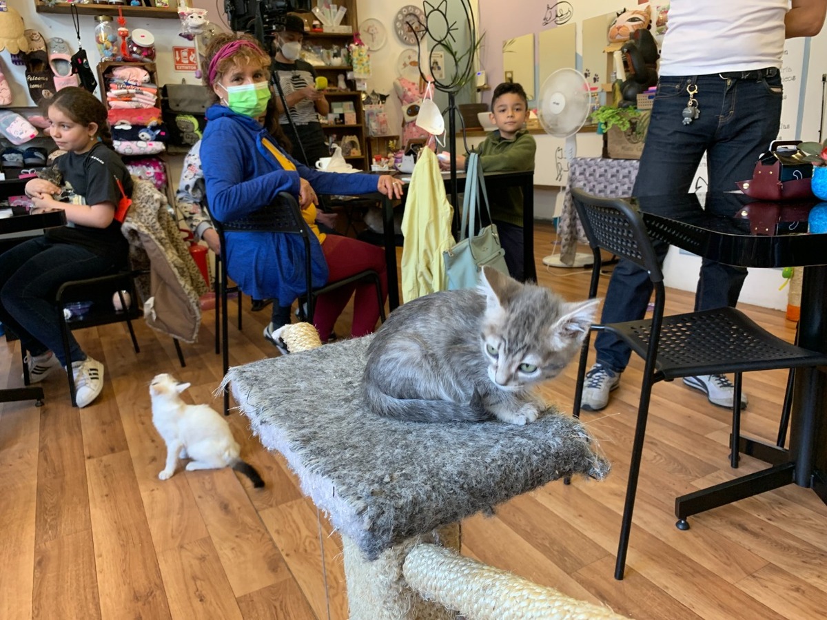 columna de Humberto Ríos