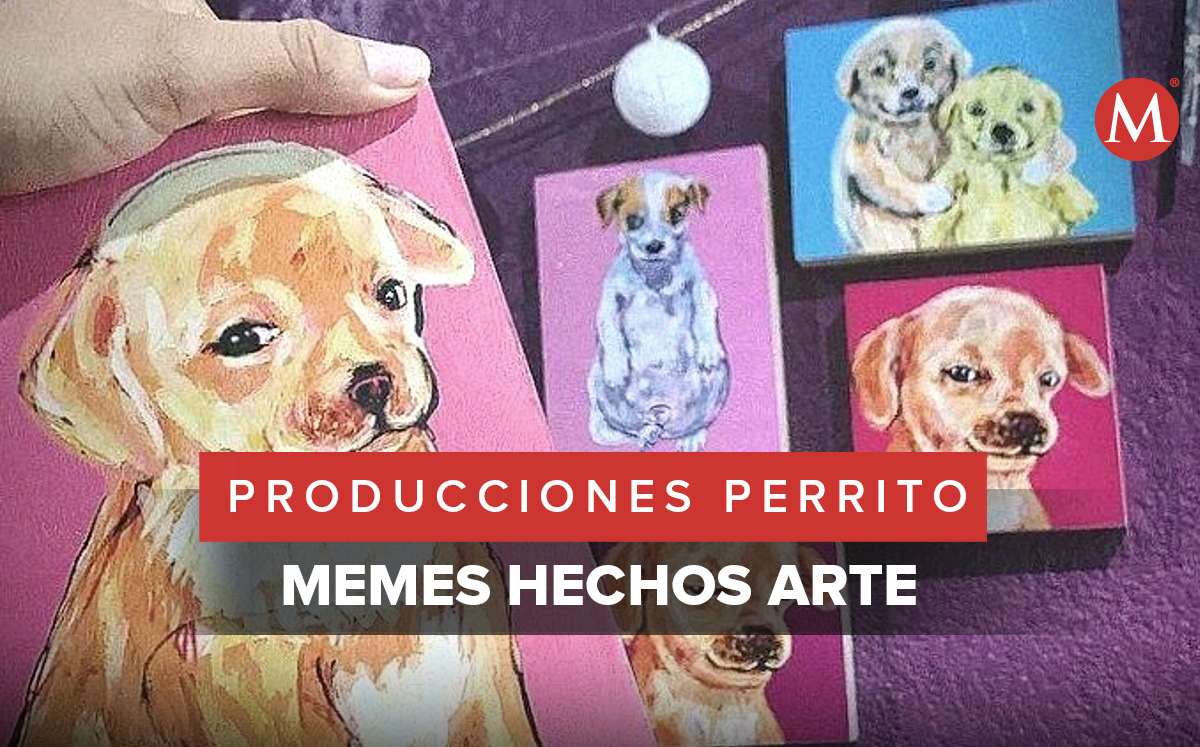 "La gente está deseosa de memes, no solo en sus celulares". (Especial)