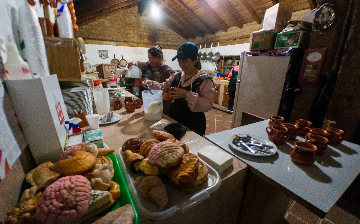 Santuario de las Luciérnagas de Piedra Canteada | Andrés Lobato