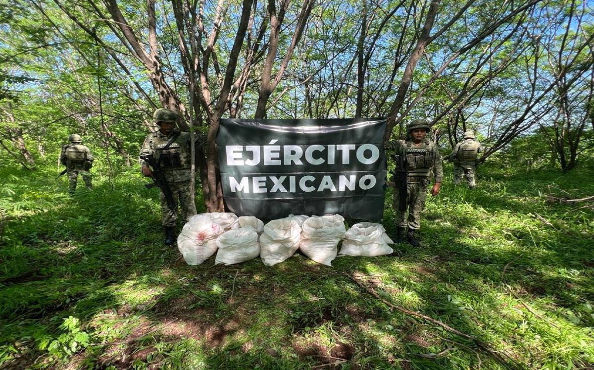 SEDENA asegura 200 kilogramos de metanfetamina. | Especial
