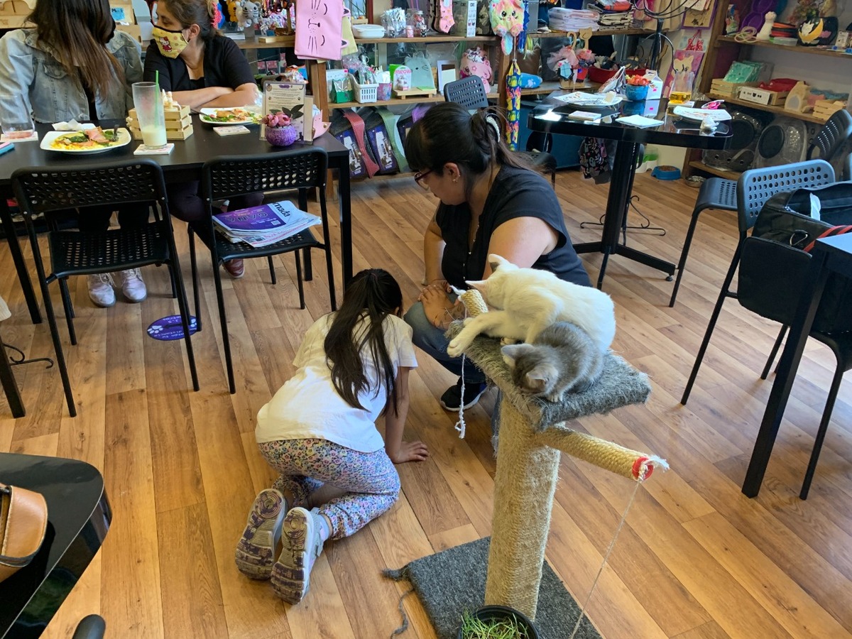 columna de Humberto Ríos