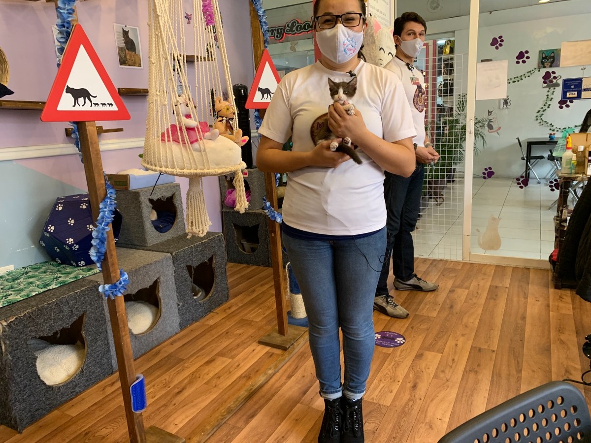 columna de Humberto Ríos