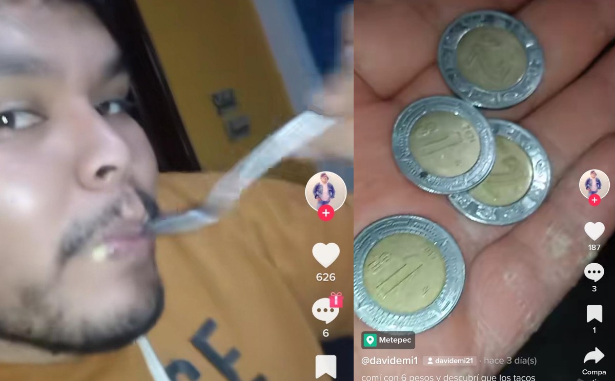 Sus seguidores incentivan al tiktoker a seguir la temática de sus videos.| Especial
