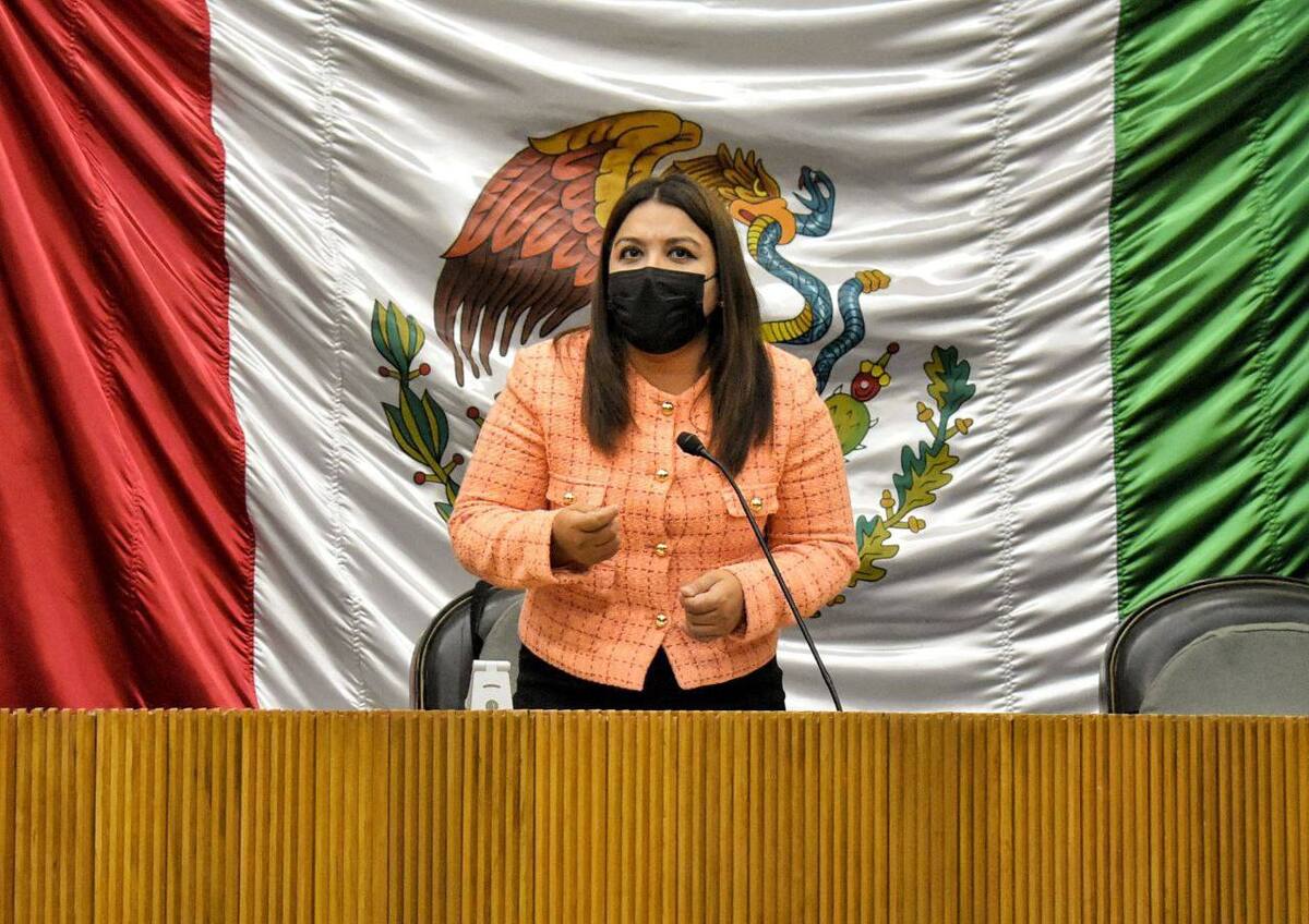 La diputada local de Movimiento Ciudadano, Brenda Sánchez. Foto: Especial