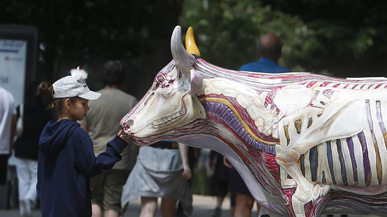 Una manada de vacas invade Reforma en el 'CowParade'