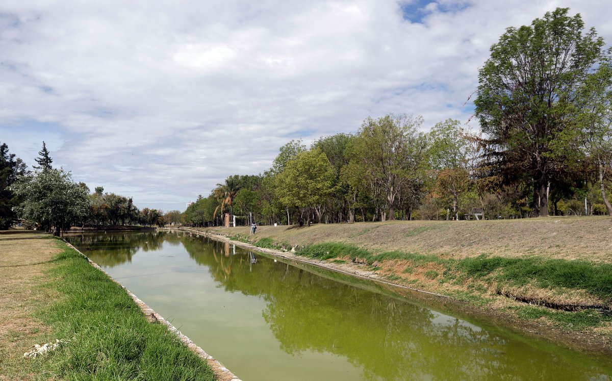 Usuarios de parque ecológico piden se suspenda el concierto Tecate Comuna | Agencia Enfoque