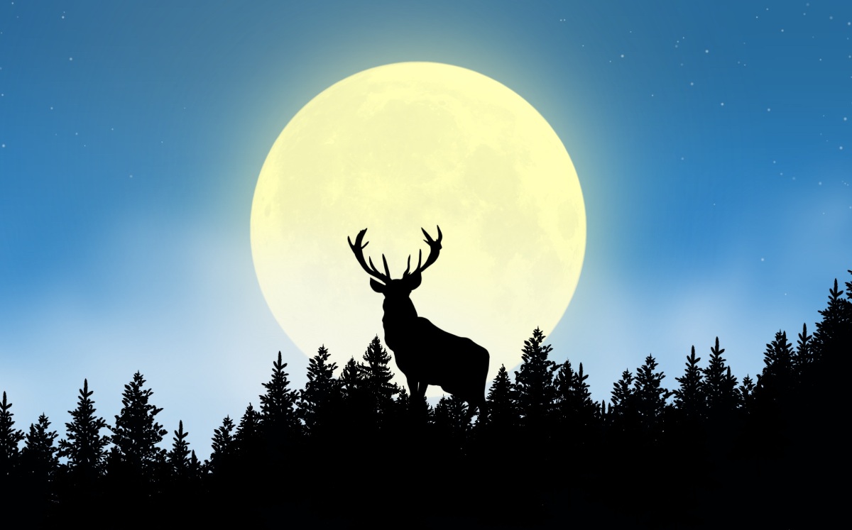 Te decimos cuándo podrás ver este fenómeno astronómico (Shutterstock).