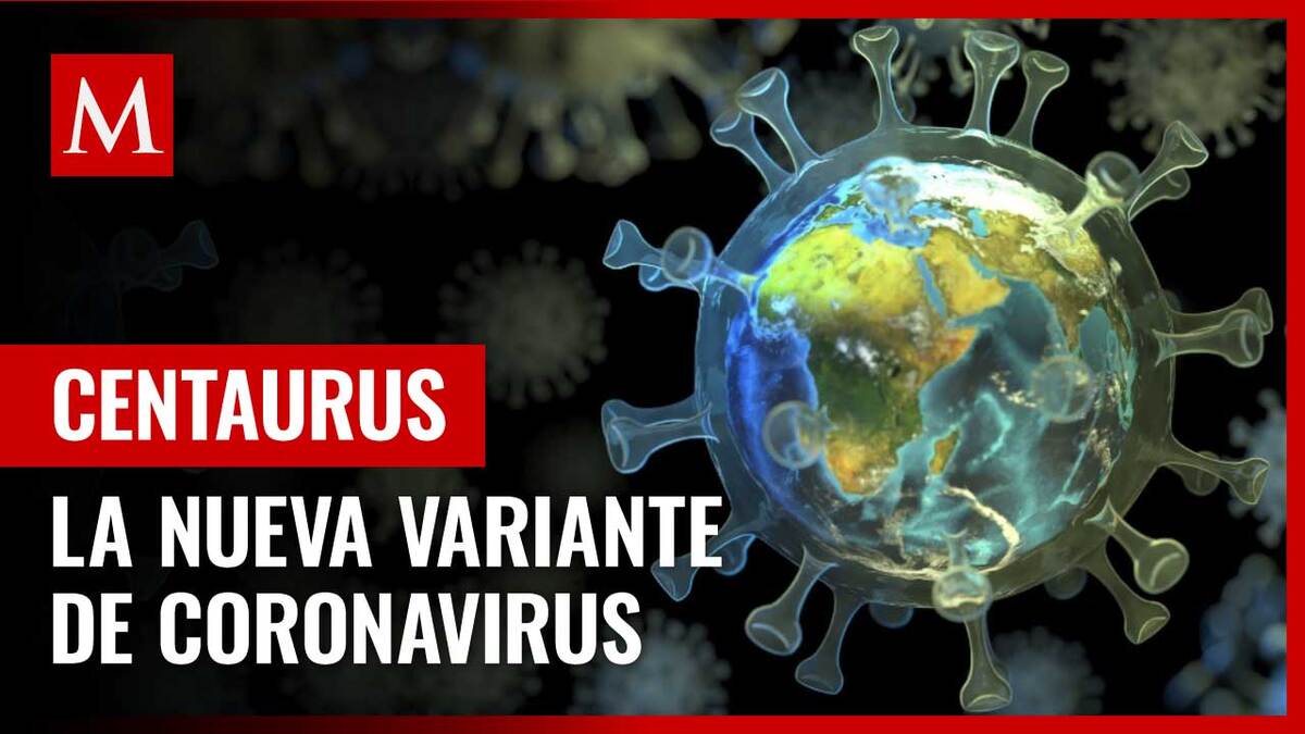 Centaurus, variante de ómicron que alerta ante expansión en India