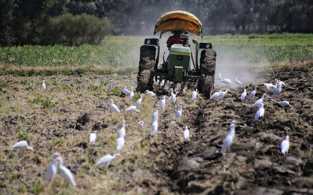 Académicos proponen agricultura con energía limpia | Andrés Lobato