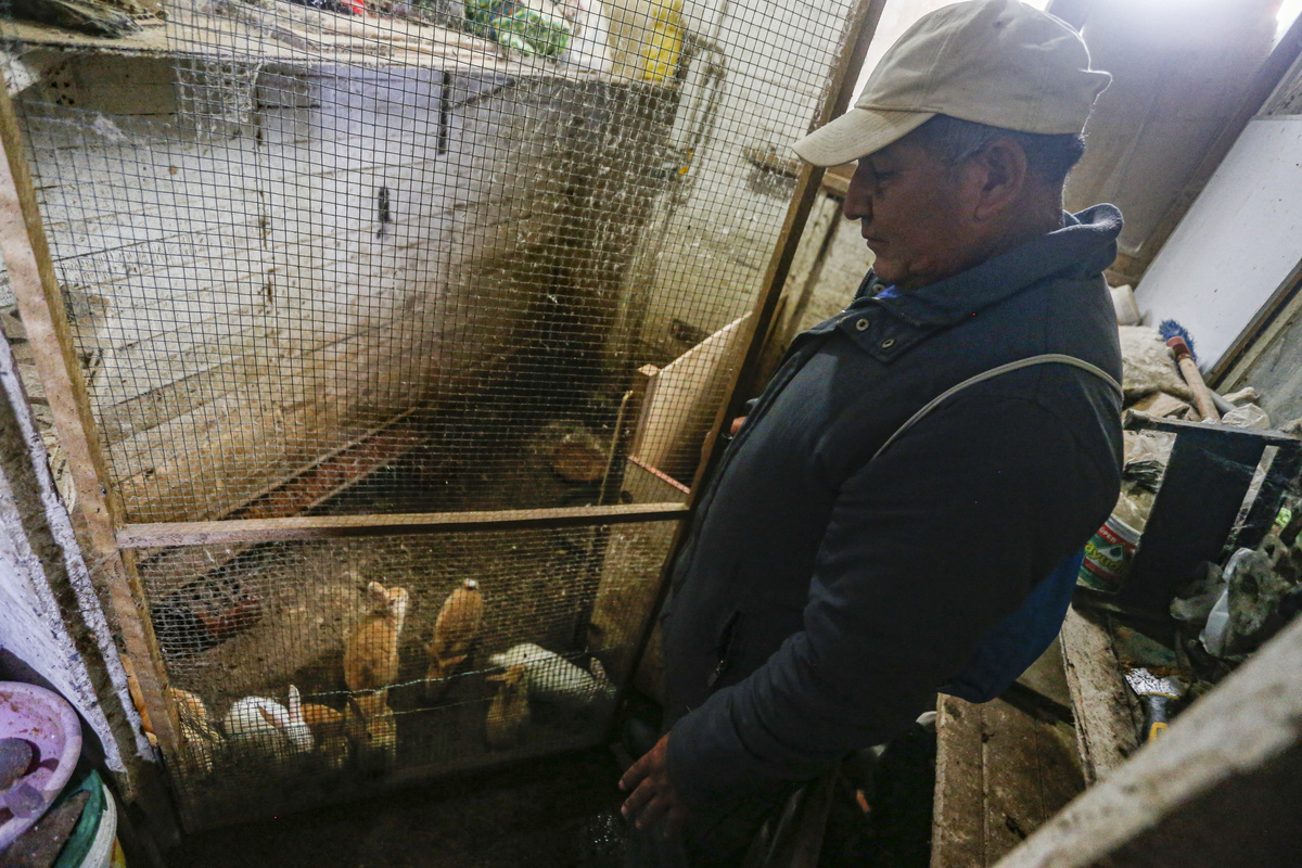 Ahora se dedica a la venta de conejos. (AFP)