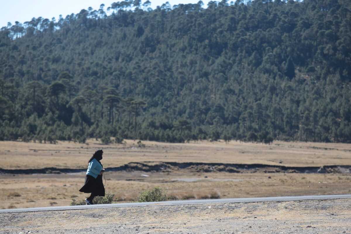 "El periodismo y la fotografía pueden servir como vínculo para exponer las actividades" | Tania Contreras